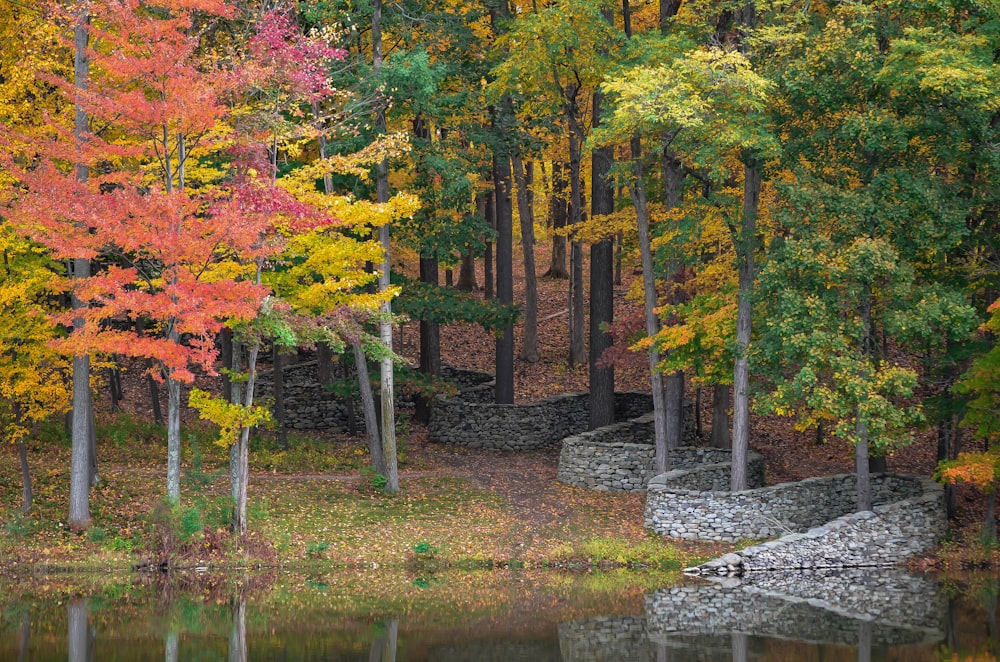 yellow and green leafed trees