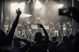 A lively concert scene with a large crowd facing a stage where several performers and a DJ are present. The audience has their hands raised in excitement, capturing the energetic atmosphere. The lighting is dramatic with spotlights emphasizing the performers.