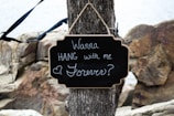 close view of wanna hang with me forever on tree