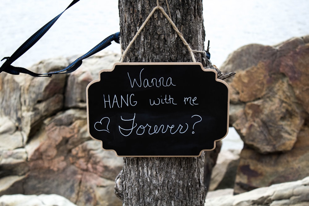 close view of wanna hang with me forever on tree