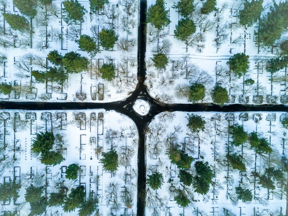 緑の森の空撮