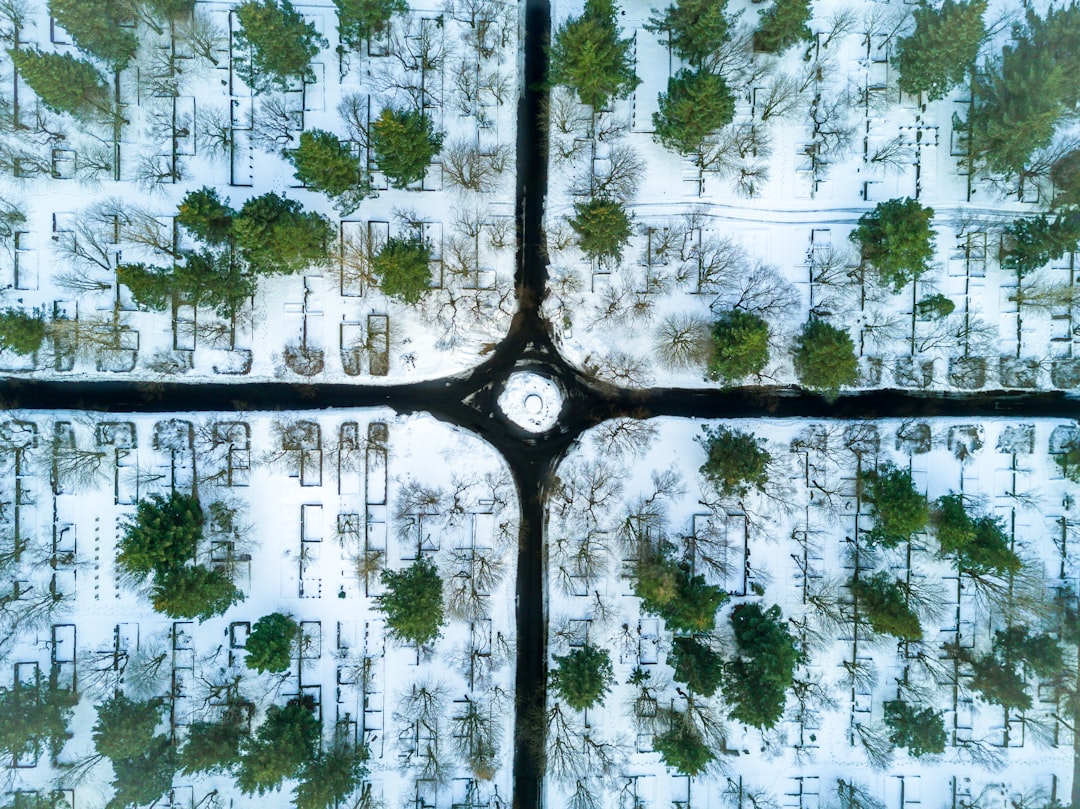 aerial view of green forest, Lines and a cemetery…