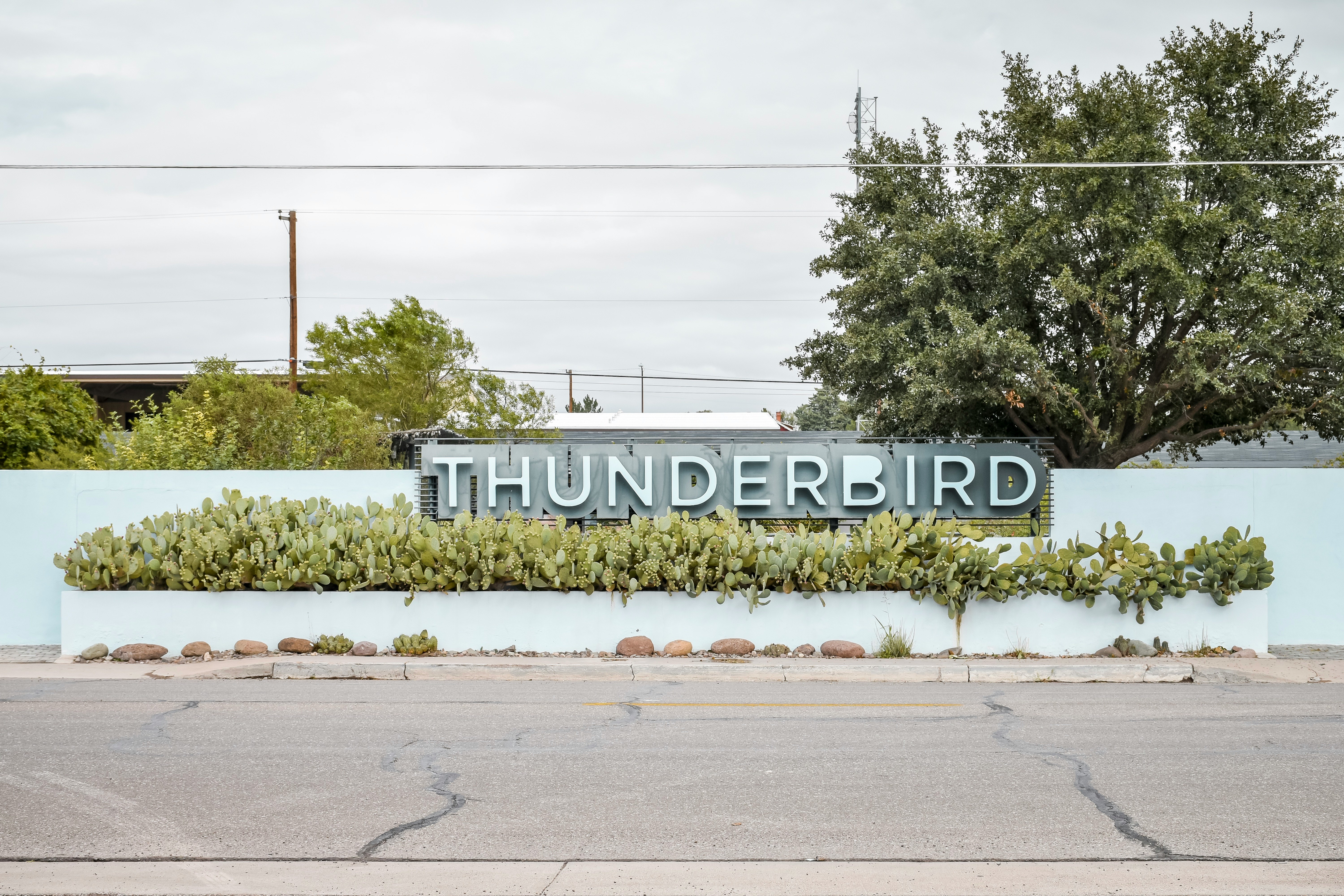 teal wall with Thunderbird signage