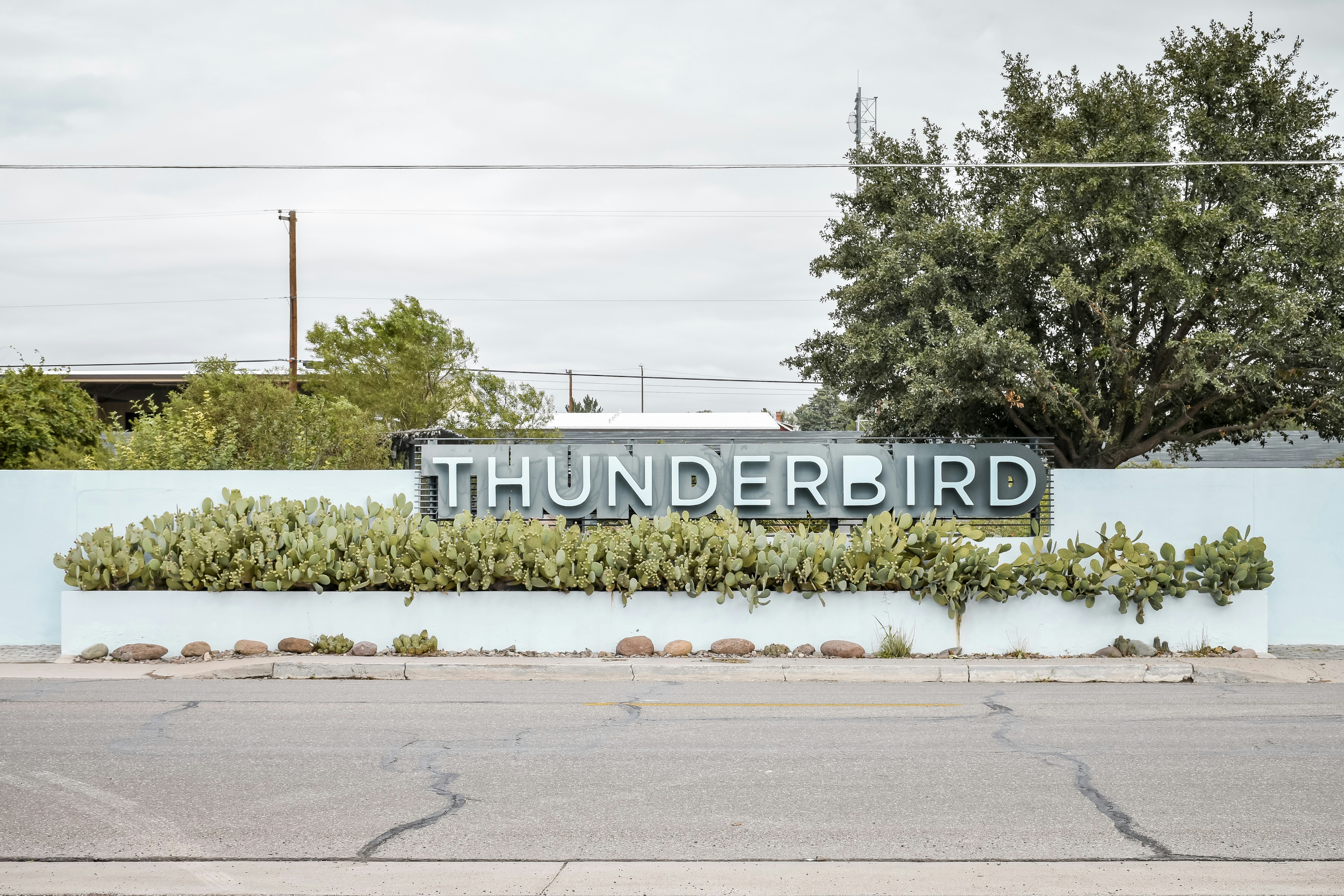 Cómo manejar correos duplicados en migración de Thunderbird a Office 365