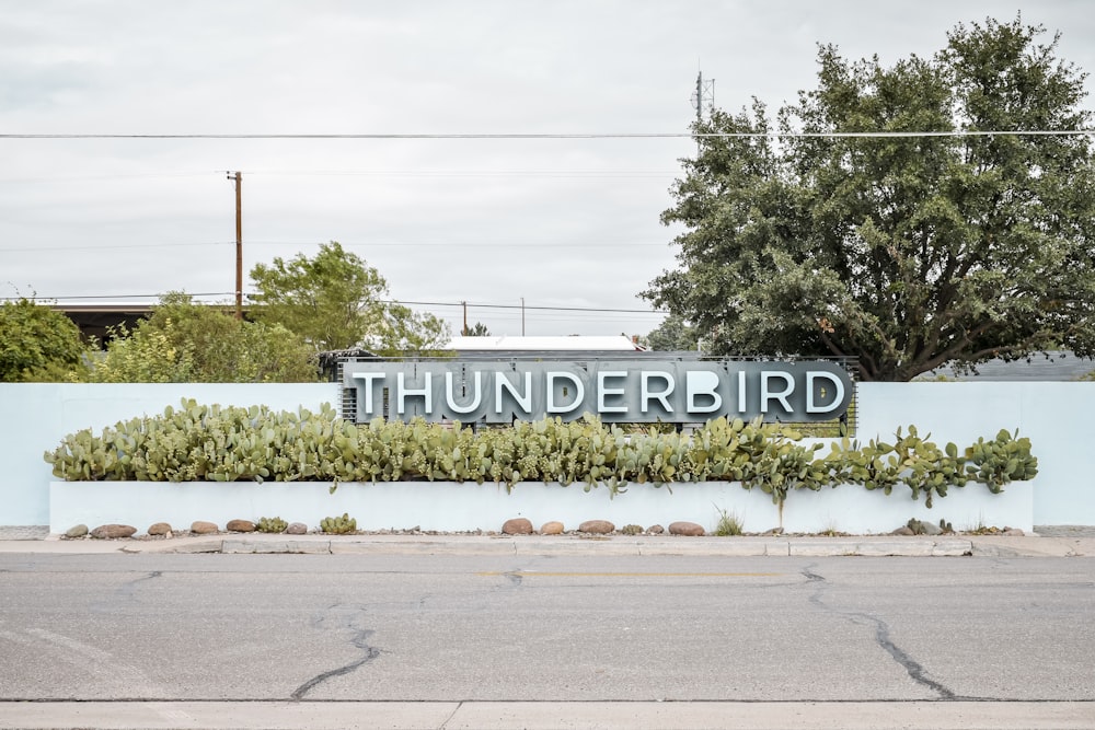 teal wall with Thunderbird signage
