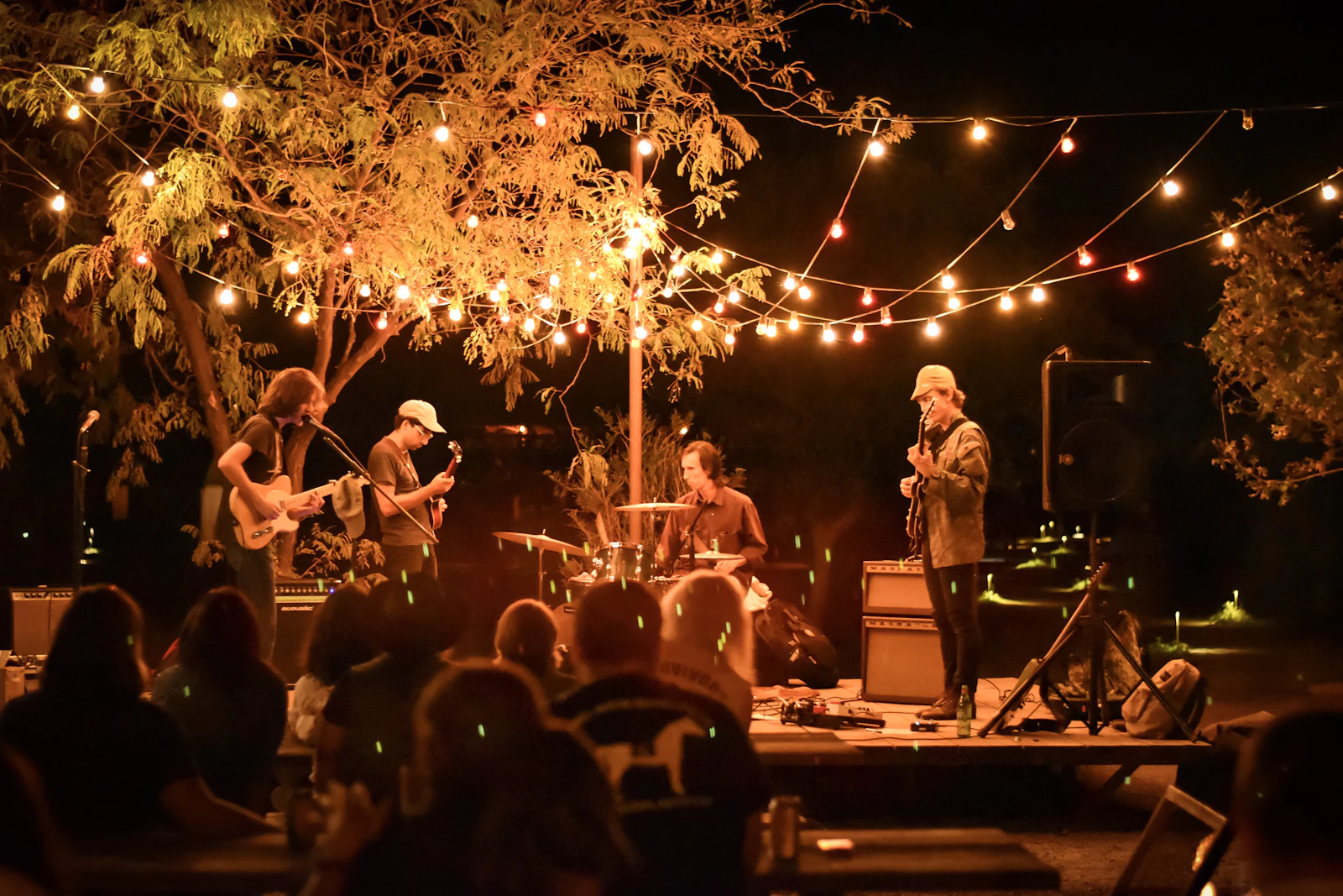 The Linden Quartet — Musicians & DJs