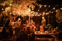 people gathering on concert during night time