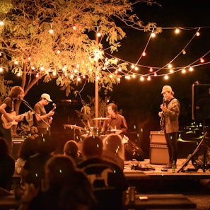 people gathering on concert during night time