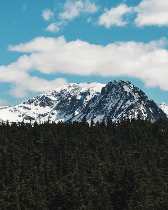 mountain covered by snow during daytime in Alaska United States