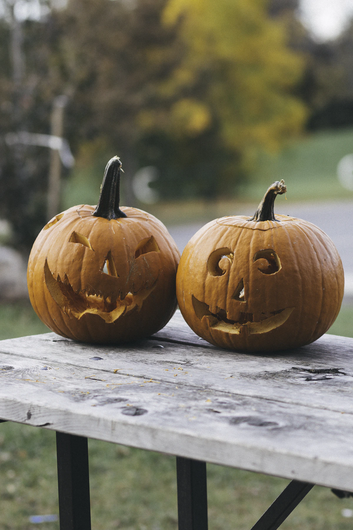 Autumn farm and pumpkin festival
