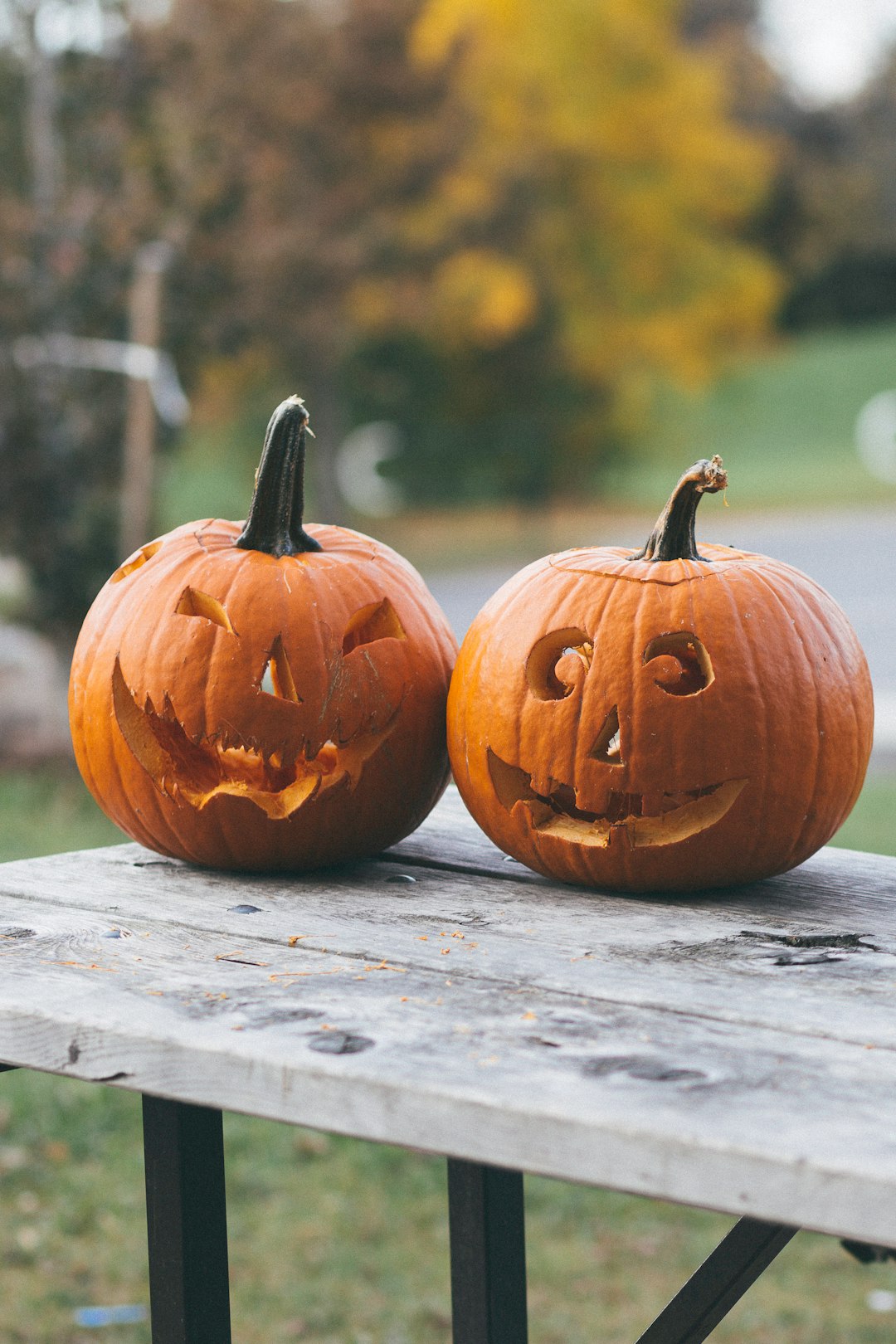 two pumpkins on brown wooden table