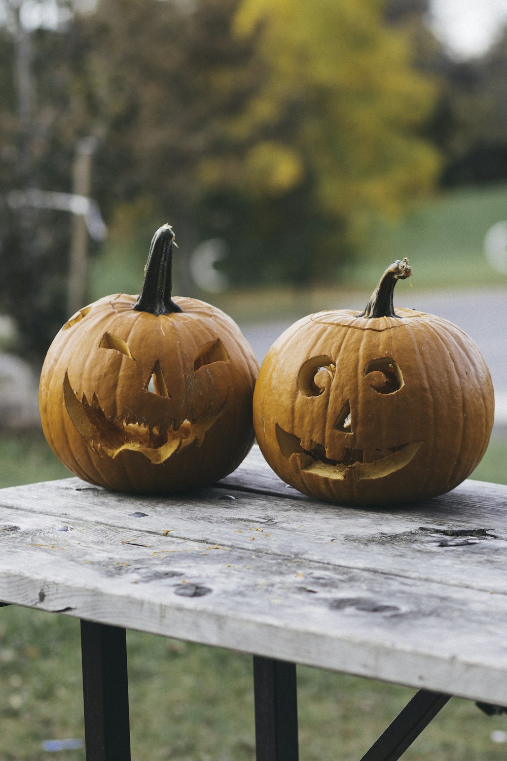 two pumpkins on brown wooden table