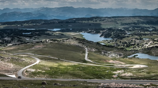 green grass field with gray road at daytime in Beartooth Highway United States