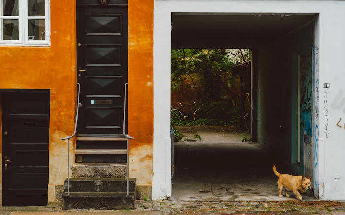 Pet Friendly Stays