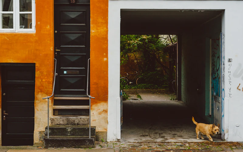 Best Pet-Friendly Hotels and Stays in Copenhagen for Travelers With Furry Companions