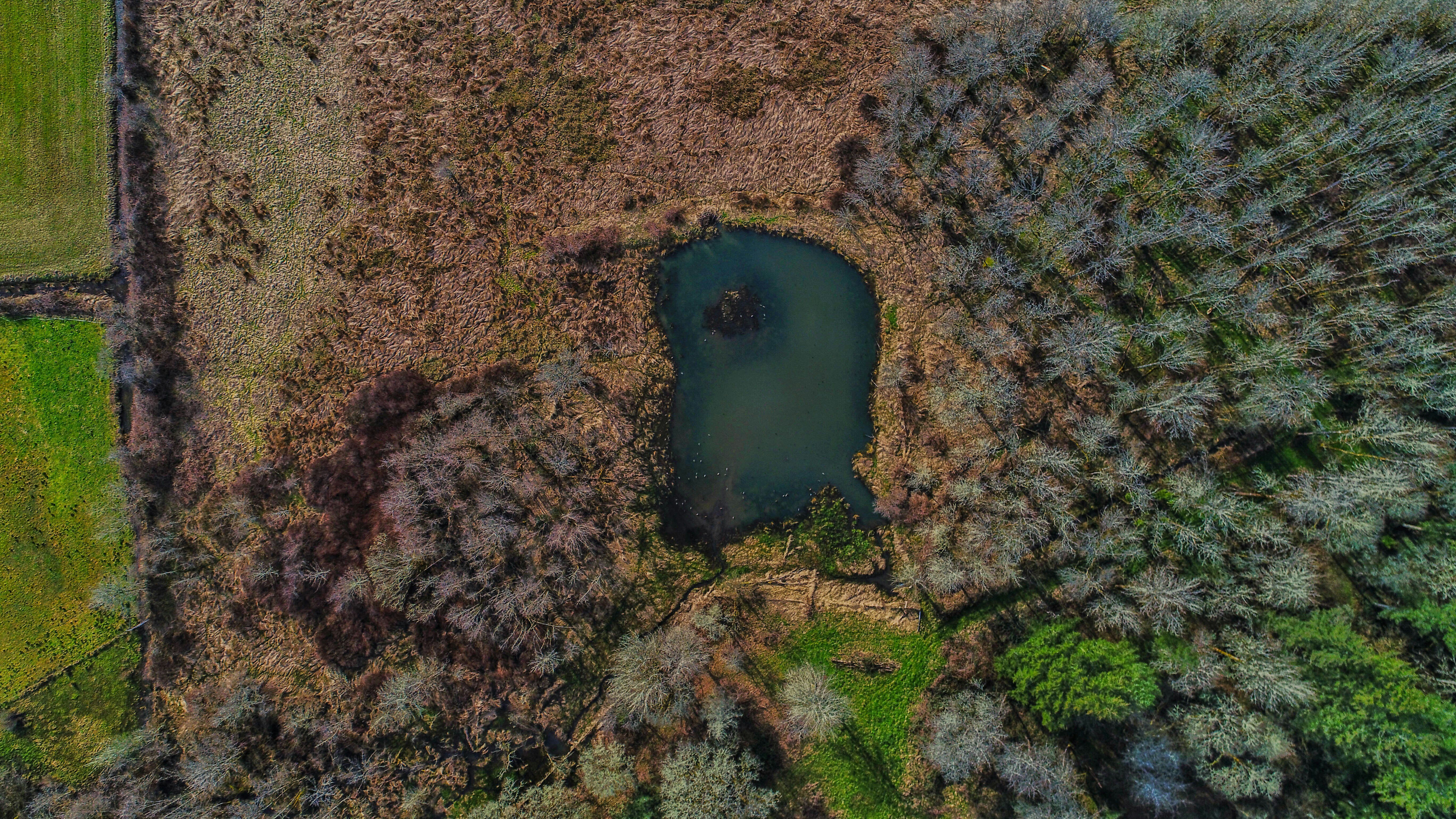 Photo by davidkovalenkoo