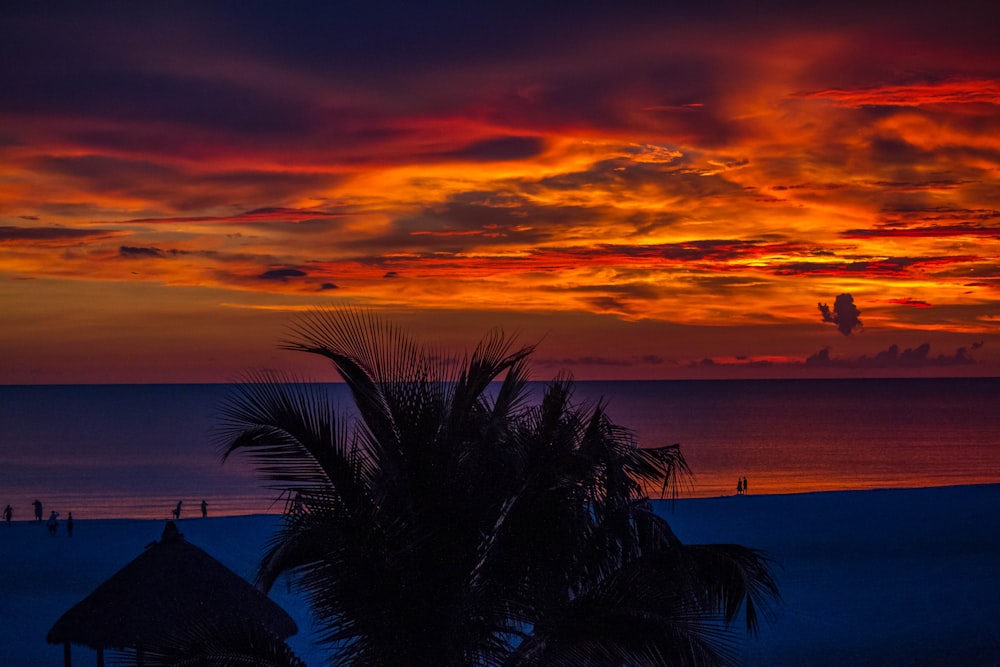 praia durante o pôr do sol