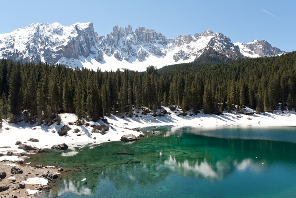 landscape photo of mountain surrounded by pine trees