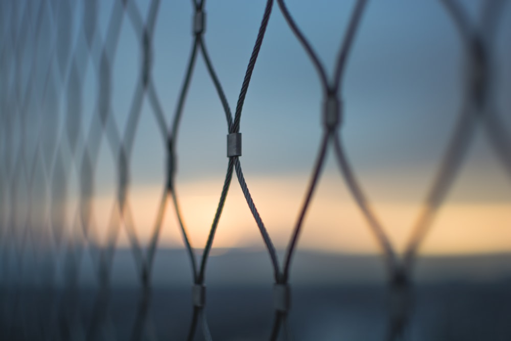shallow focus photography of cyclone fence