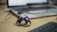 A pair of in-ear headphones with a black cord and purple-blue earpieces is lying on a wooden desk. A blurred laptop and keyboard are in the background, suggesting a workspace or office setting.