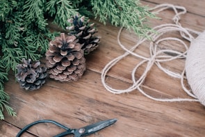 pine cones beside Christmas tree