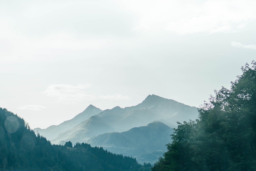 green trees front of gray mountain under white clouds