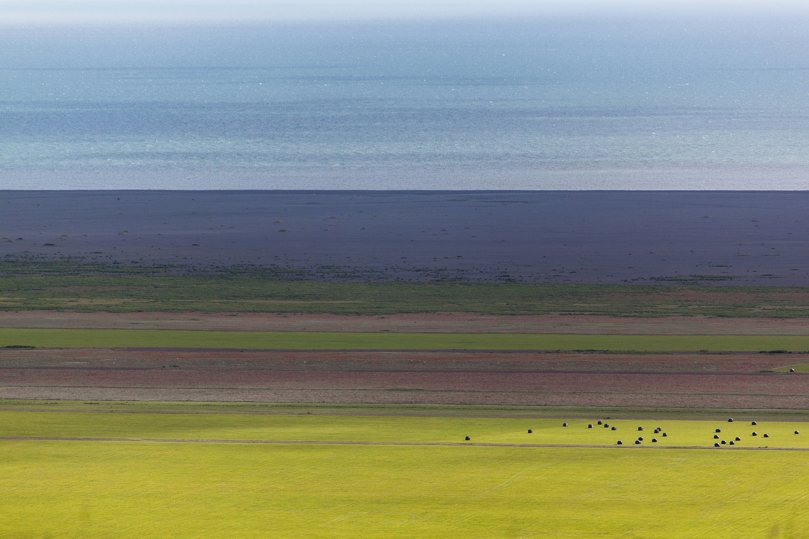 a herd of animals grazing on a lush green field