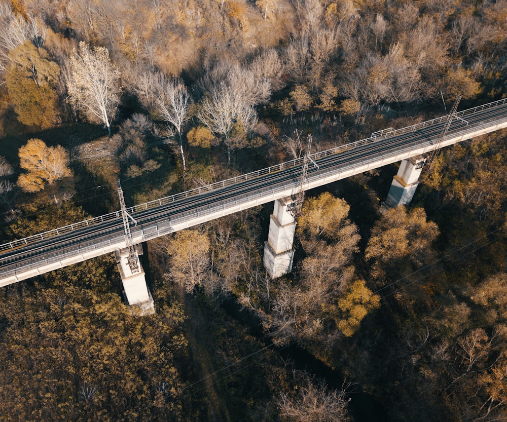 葉の茂った木々の間の橋の鳥瞰写真