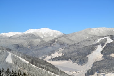A panoramic view of Mont Tremblant’s lush forest landscape with a clear blue sky above.