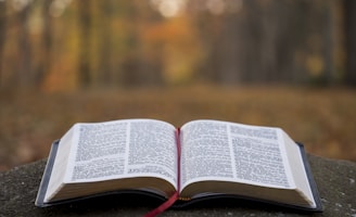 bible page on gray concrete surface