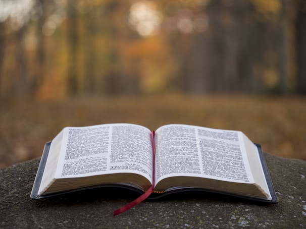 A serene outdoor scene with an open book resting on a picnic blanket under a tree.