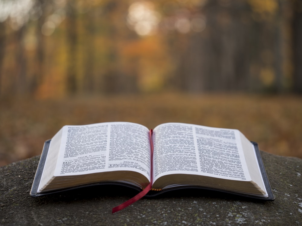 bible page on gray concrete surface