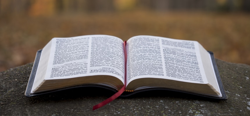Why Are Protestant and Catholic Bibles Different?