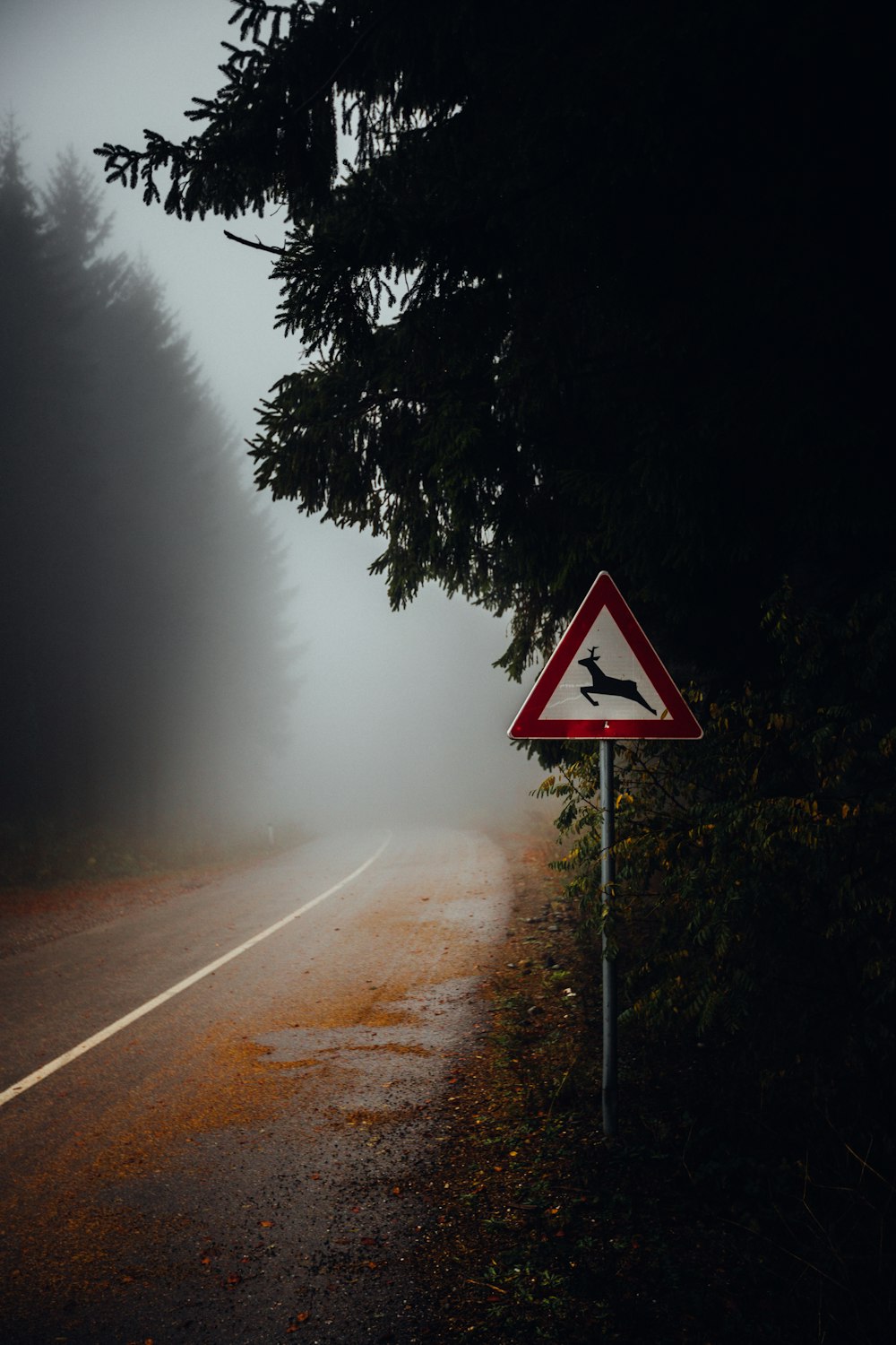 Señal de tráfico al lado de la carretera asfaltada