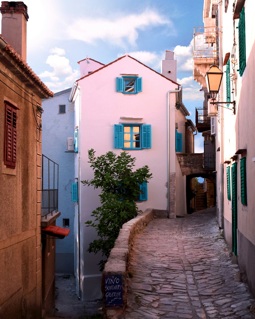 Casa de hormigón blanco y azul con planta verde