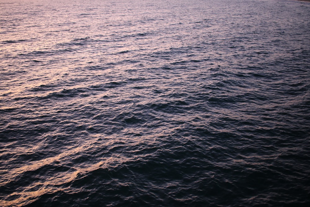 body of water at sunset