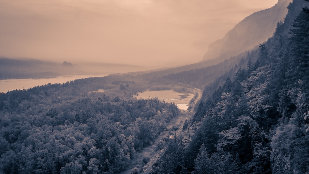 Foto en escala de grises de una montaña rodeada de árboles