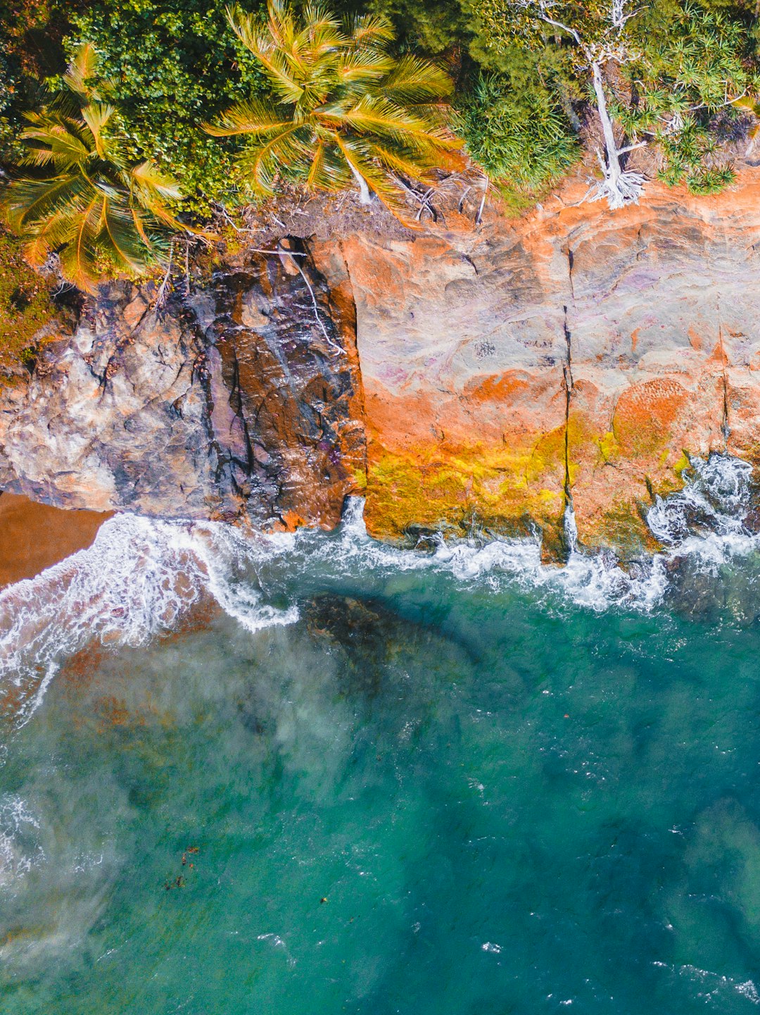 aerial view of beach