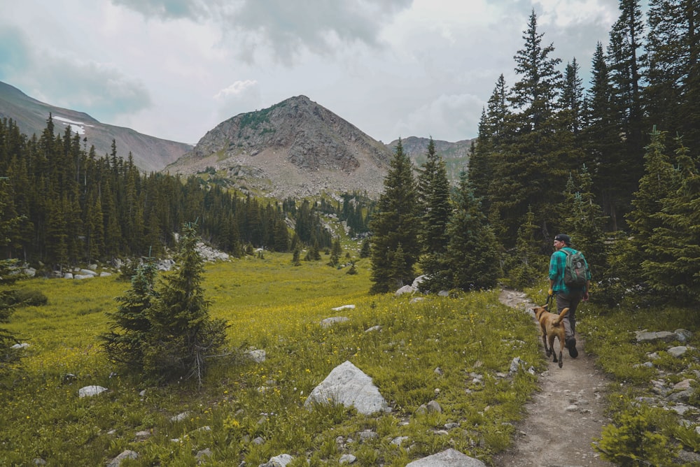 man walking beside pet surrounded with pine trees