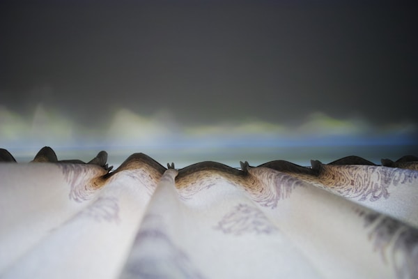 Close-up of elegant fabric draperies hanging beside a window.