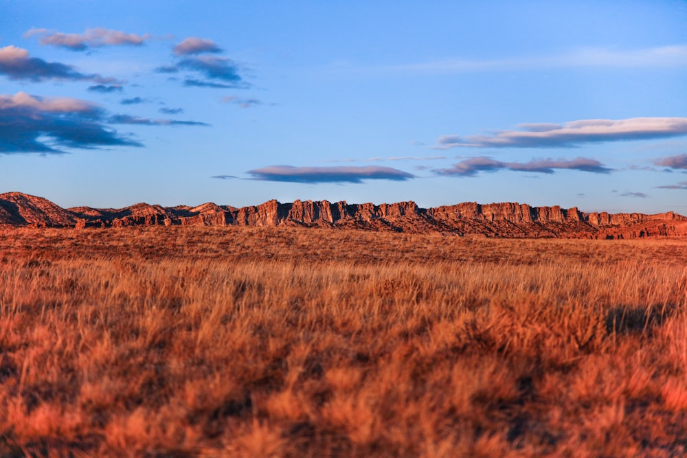 Monument Valley tagsüber unter weißen Wolken