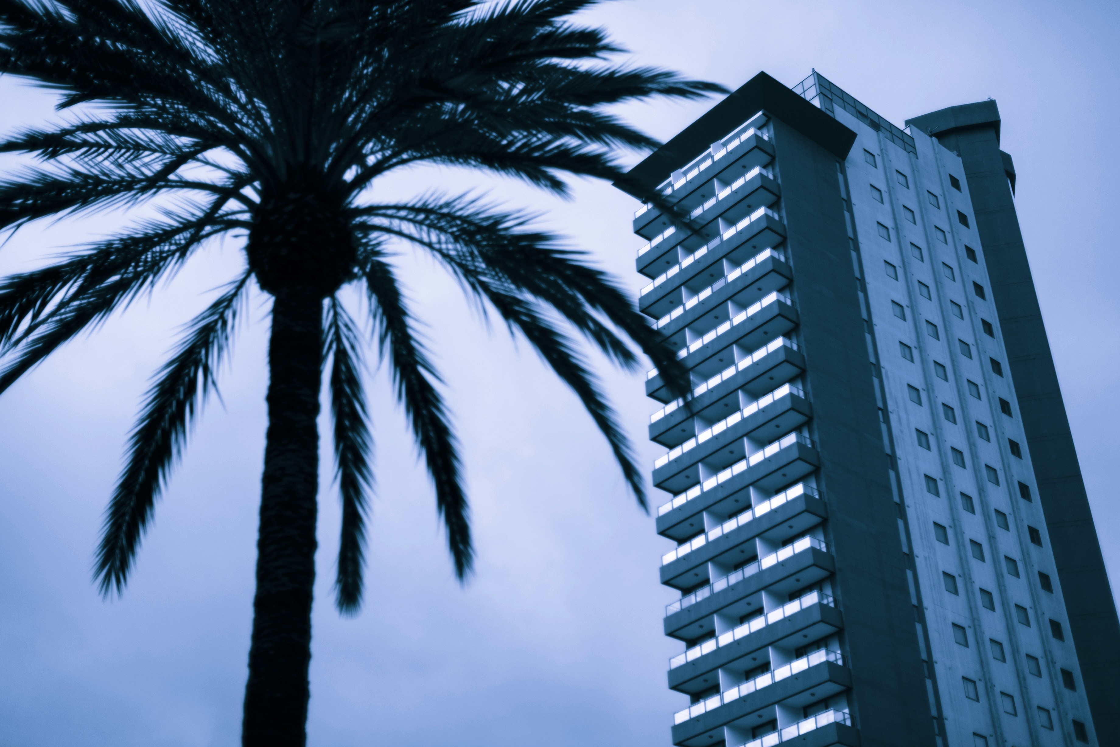 Photo by tonibenlliure