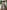 shallow focus photography of coffee late in mug on table
