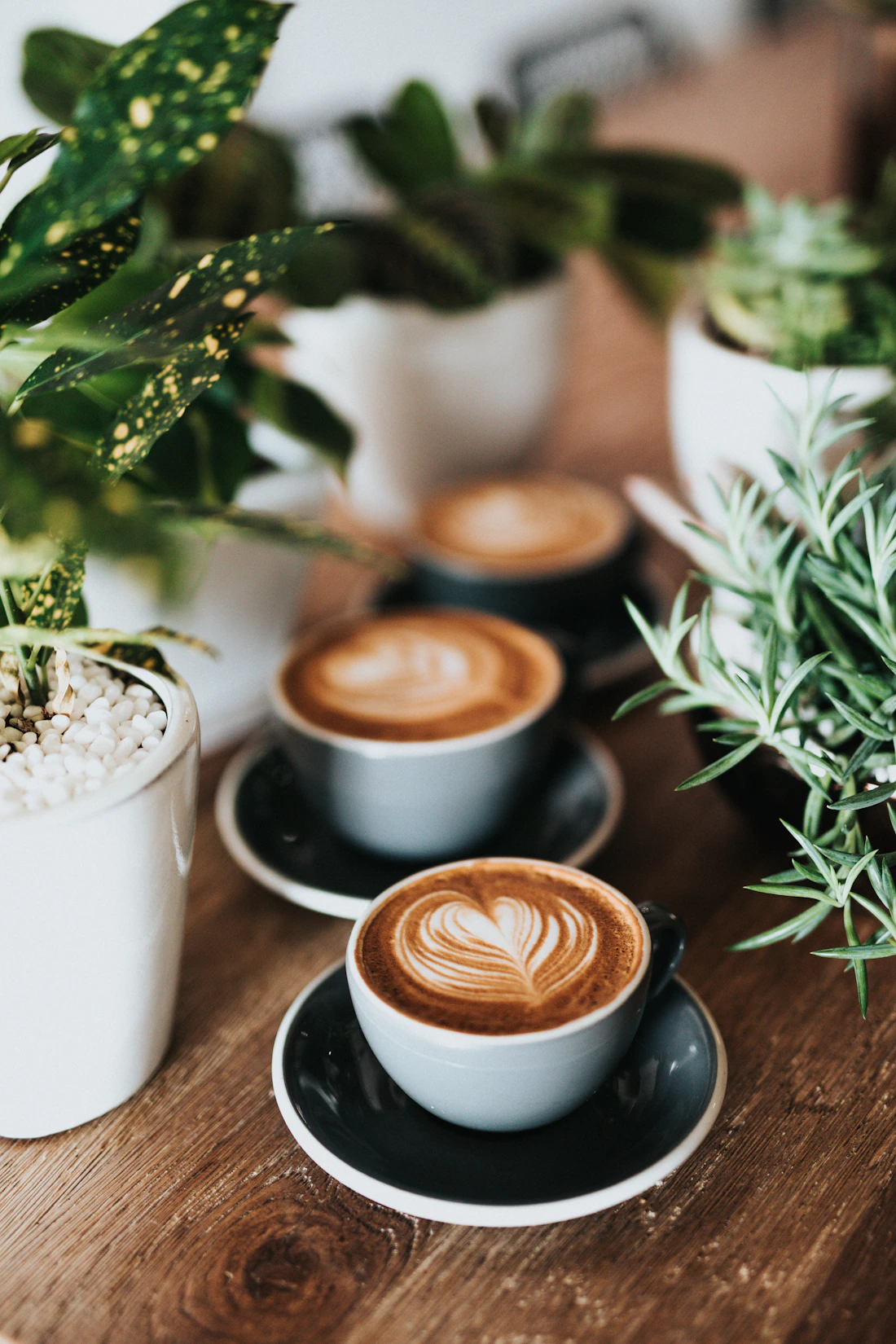 Cappuccino con latte art en forma de tulipán