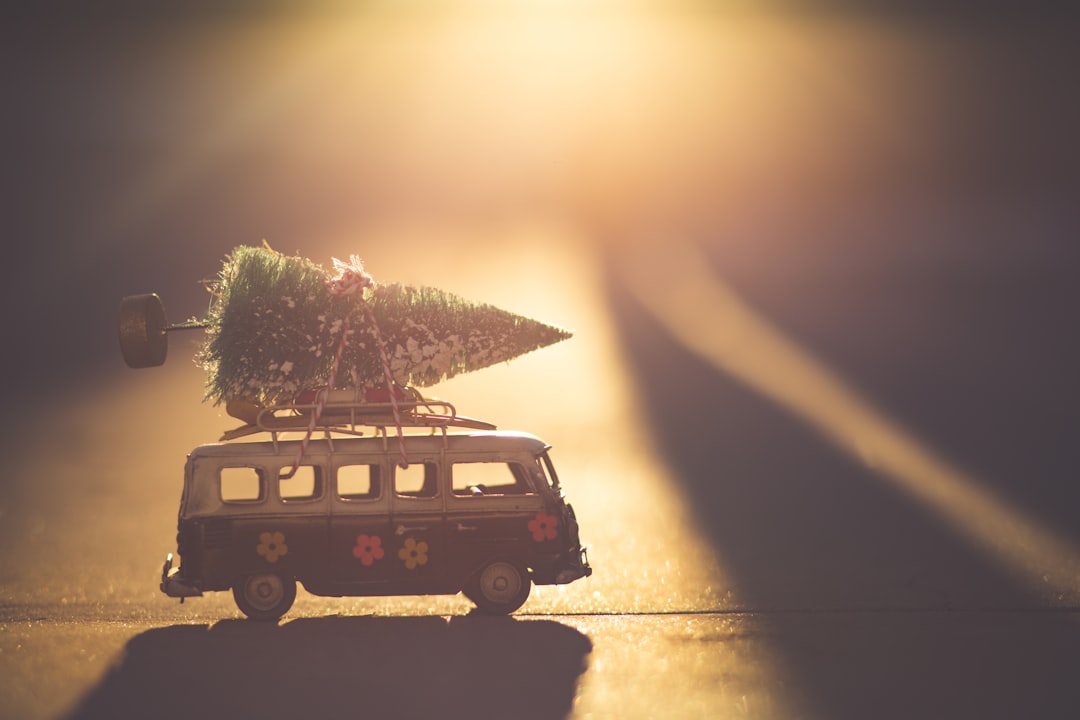 white and black bus with green pine tree scale model, bringing home the tree