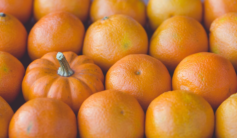 Orangenkürbis inmitten von orangefarbenen Mandarinenfrüchten