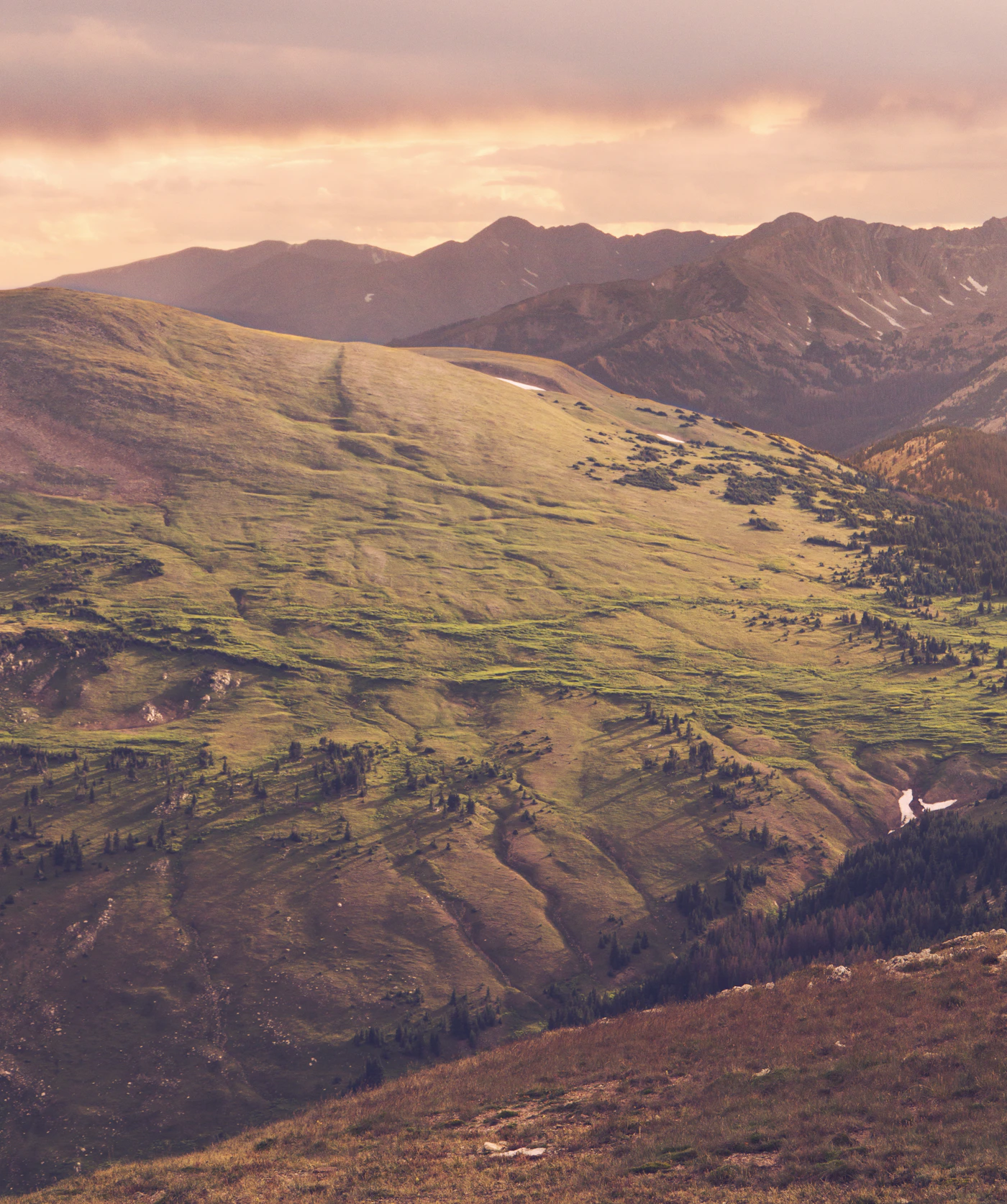 High alpine tundra above the treeline