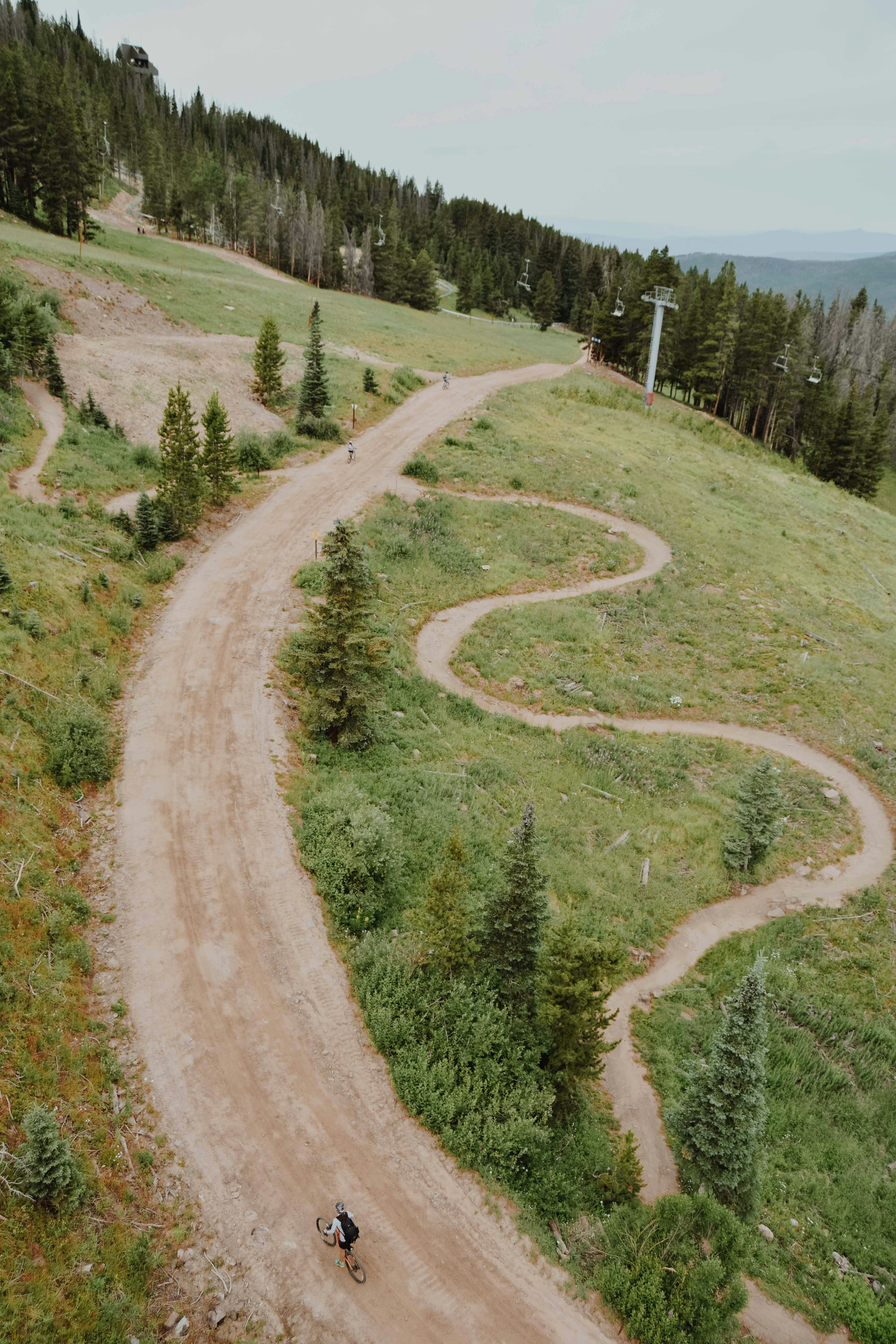 person cycling on road near trees during daytime