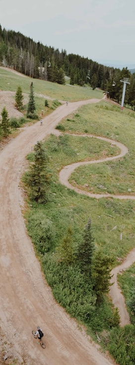 person cycling on road near trees during daytime