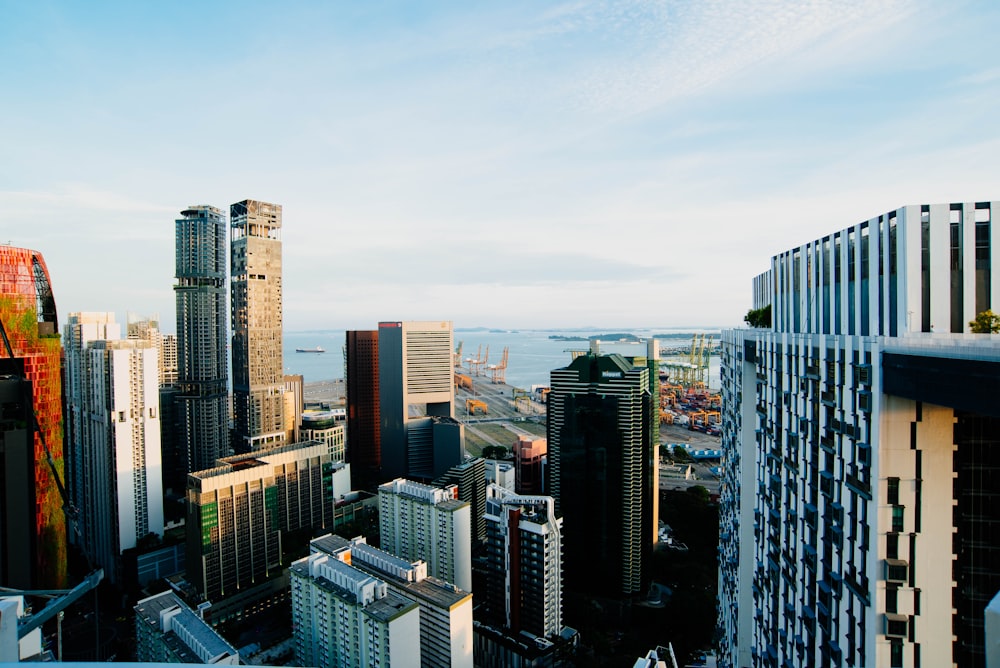 bird's-eye view of city buildings